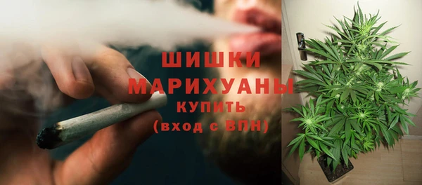PSILOCYBIN Абдулино