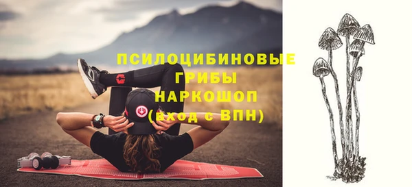 прущие грибы Кинешма