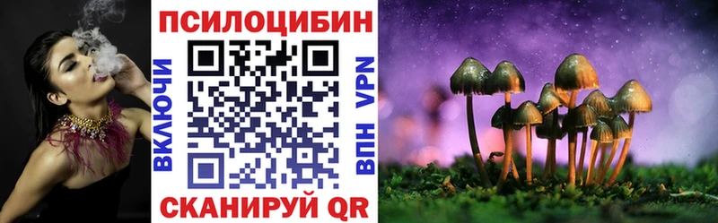 ссылка на мегу ссылка  где найти   Александровск  Псилоцибиновые грибы Psilocybe 